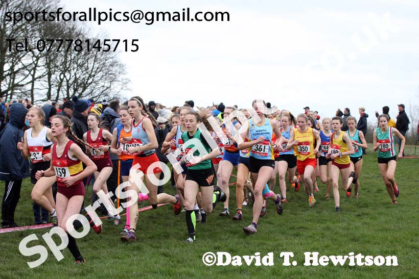 Intermediate girls 2019 New Balance English Schools Cross Country Champs, Temple Newsam, Leeds. Photo:  David T. Hewitson/Sports for All Pics
